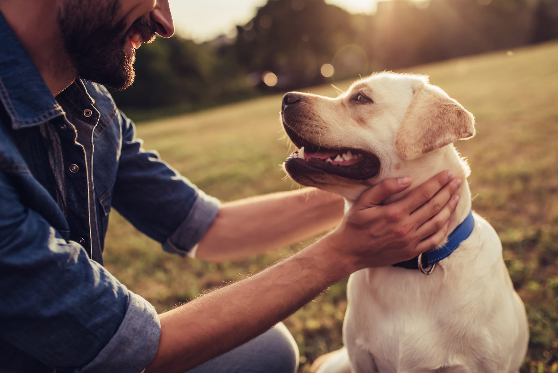 Don't leave your hearing aids lying around the house